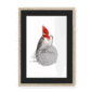 red-crested-cardinal-bird-nf-bm-8.png