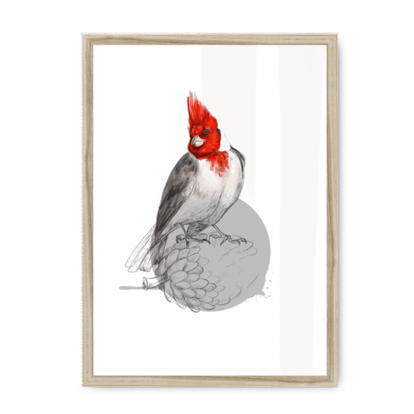 red-crested-cardinal-bird-nf-nom-10.png
