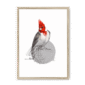 red-crested-cardinal-bird-nf-nom-10.png