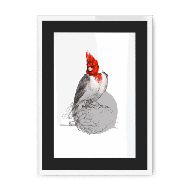 red-crested-cardinal-bird-wf-bm-8.png