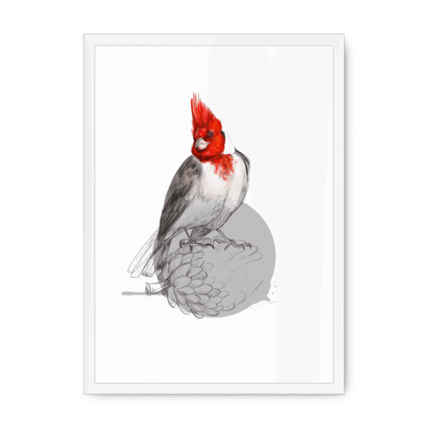 red-crested-cardinal-bird-wf-nom-10.png