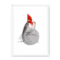 red-crested-cardinal-bird-wf-nom-10.png