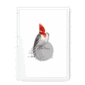 red-crested-cardinal-bird-wf-wm-8.png