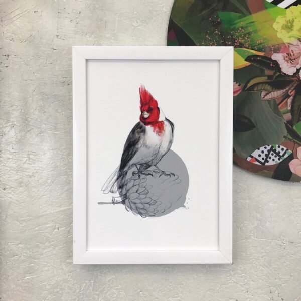 red-crested-cardinal-giclee-art-print-16949534064796-3.jpg