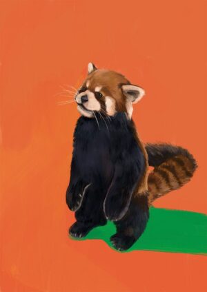 Red Panda Duo OG Giclée Art Print
