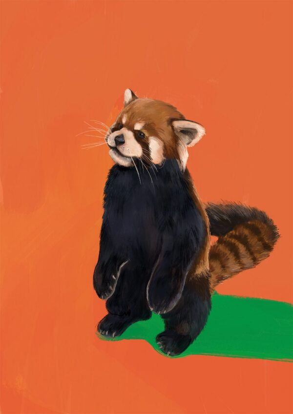 red-panda-duo-og-giclee-art-print-36939786977529-2.jpg red-panda-duo-og-giclee-art-print-36939786977529-2.jpg
