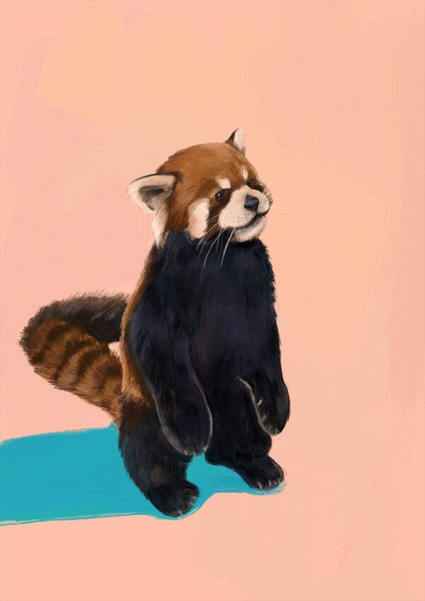 red-panda-duo-pb-giclee-art-print-36939359322361-3.jpg red-panda-duo-pb-giclee-art-print-36939359322361-3.jpg