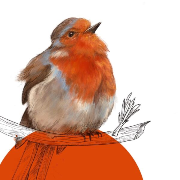 robin-giclee-art-print-28833660928156-2.jpg robin-giclee-art-print-28833660928156-2.jpg