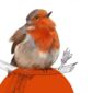 robin-giclee-art-print-28833660928156-2.jpg