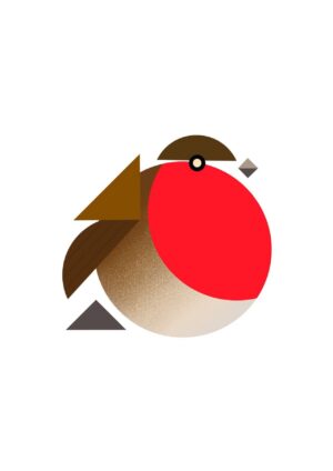 Robin Matte Art Print