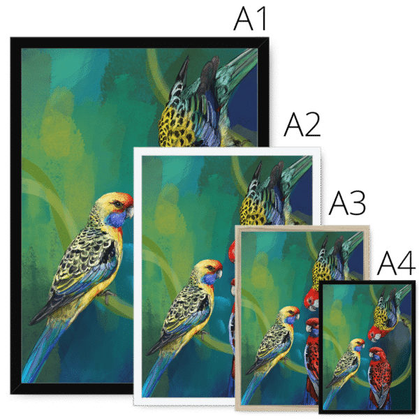 rondel-of-rosellas-framed-print-31613395861660-4.png