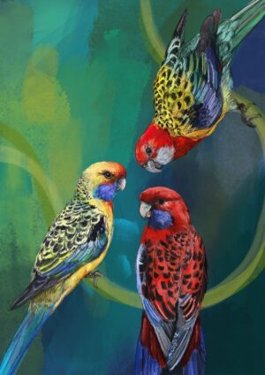 Rondel Of Rosellas Giclée Art Print