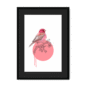rose-finch-bird-bf-bm-10.png