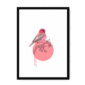 rose-finch-bird-bf-wm-11.png