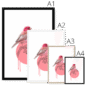 rose-finch-bird-four-sizes-3.png
