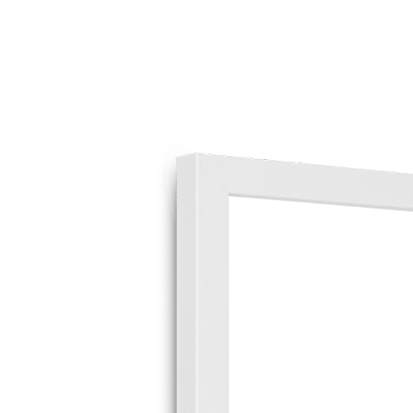 rose-finch-bird-w-corner-3.png