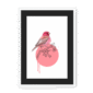 rose-finch-bird-wf-bm-10.png