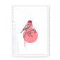 rose-finch-bird-wf-wm-12.png