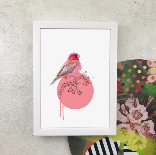 rose-finch-giclee-art-print-16949530886300-2.jpg