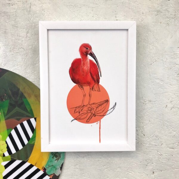 scarlet-ibis-giclee-art-print-16949533966492-3.jpg