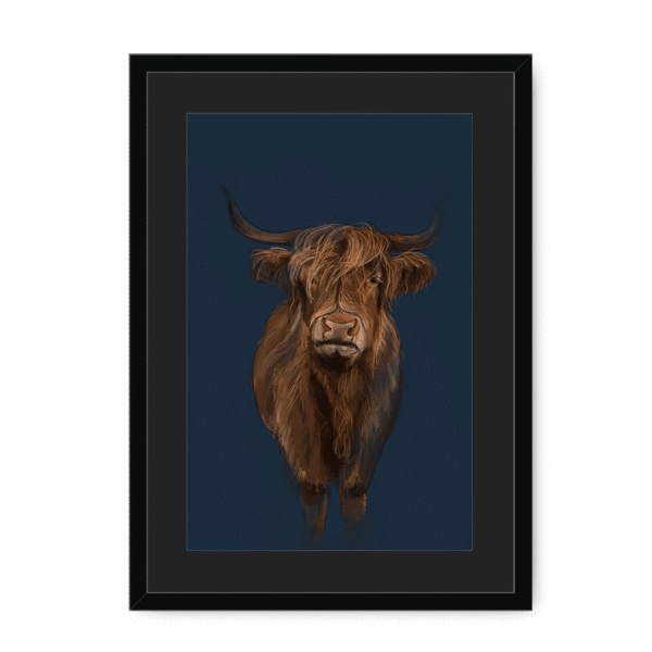 scottish-hairy-cow-bf-bm-16.png