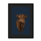 scottish-hairy-cow-bf-bm-16.png