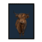 scottish-hairy-cow-bf-nom-20.png