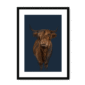 scottish-hairy-cow-bf-wm-16.png