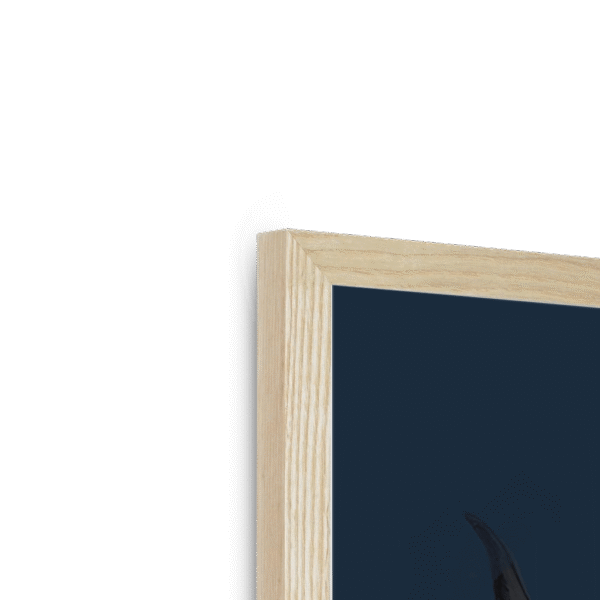 scottish-hairy-cow-n-corner-4.png