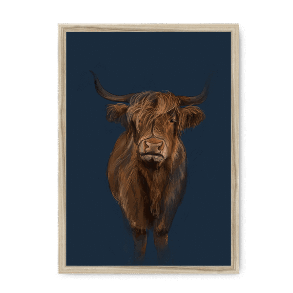 scottish-hairy-cow-nf-nom-20.png