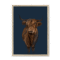 scottish-hairy-cow-nf-nom-20.png
