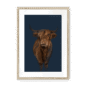 scottish-hairy-cow-nf-wm-16.png