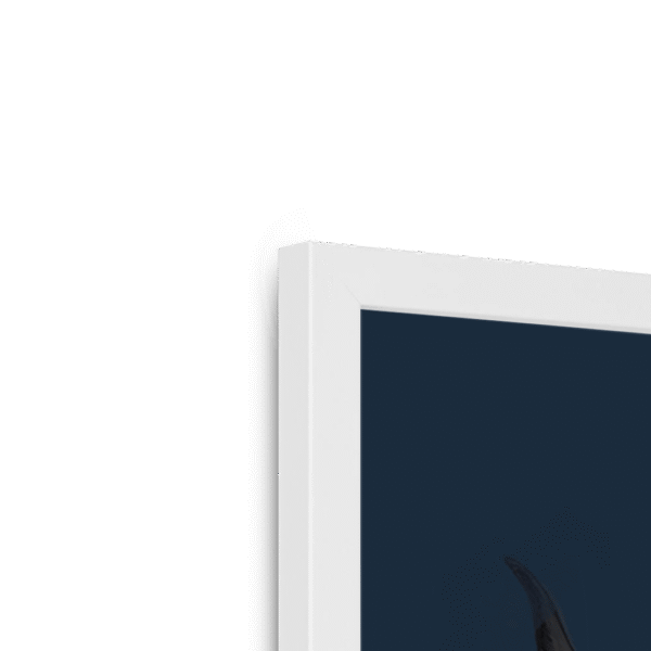 scottish-hairy-cow-w-corner-4.png