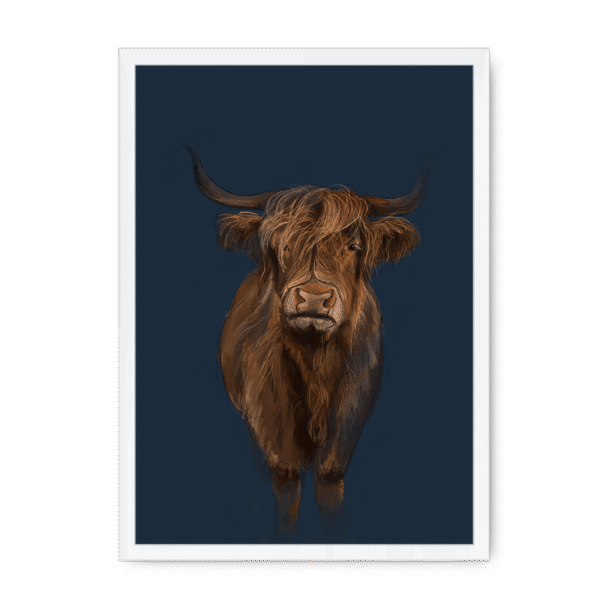scottish-hairy-cow-wf-nom-20.png