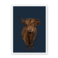 scottish-hairy-cow-wf-nom-20.png