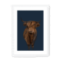 scottish-hairy-cow-wf-wm-16.png