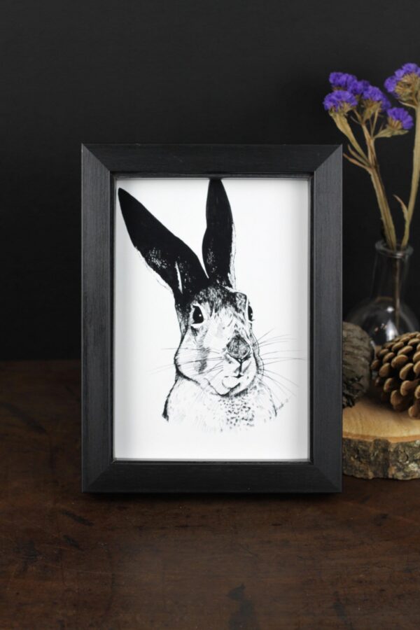 skeptical-hare-matte-art-print-19546618069148-2.jpg