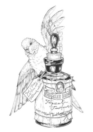 Smuggler Budgie Tropical Tincture Matte Art Print