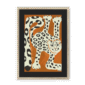 snow-leopard-nf-bm-15.png