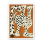 snow-leopard-wf-nom-26.png