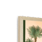 soft-serve-n-corner-6.png