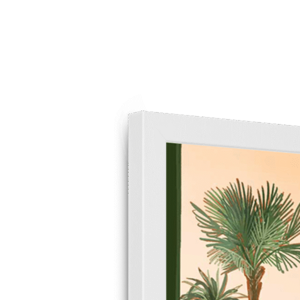 soft-serve-w-corner-6.png