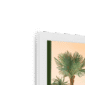 soft-serve-w-corner-6.png