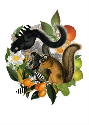 Squirrels in Sicily Matte Art Print