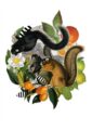 squirrels-in-sicily-matte-art-print-16996990746780-3.jpg