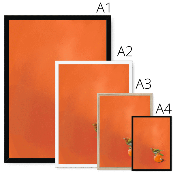 tangerine-tanager-framed-print-31598168801436-3.png