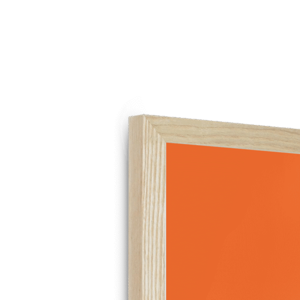 tangerine-tanager-framed-print-31598168932508-3.png