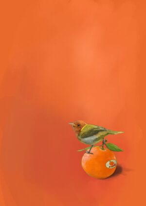 Tangerine Tanager Giclée Art Print