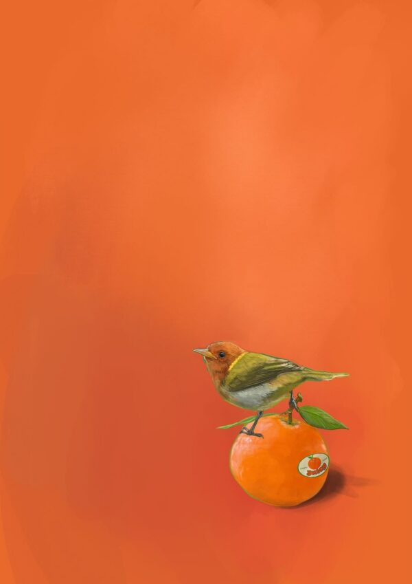 tangerine-tanager-giclee-art-print-31540152139932-2.jpg tangerine-tanager-giclee-art-print-31540152139932-2.jpg