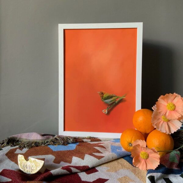 tangerine-tanager-giclee-art-print-31540316733596-2.jpg tangerine-tanager-giclee-art-print-31540316733596-2.jpg